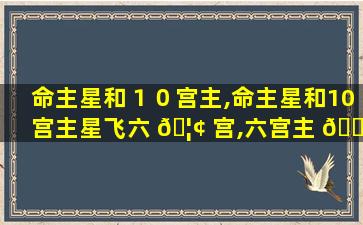 命主星和１０宫主,命主星和10宫主星飞六 🦢 宫,六宫主 🌹 星飞10宫